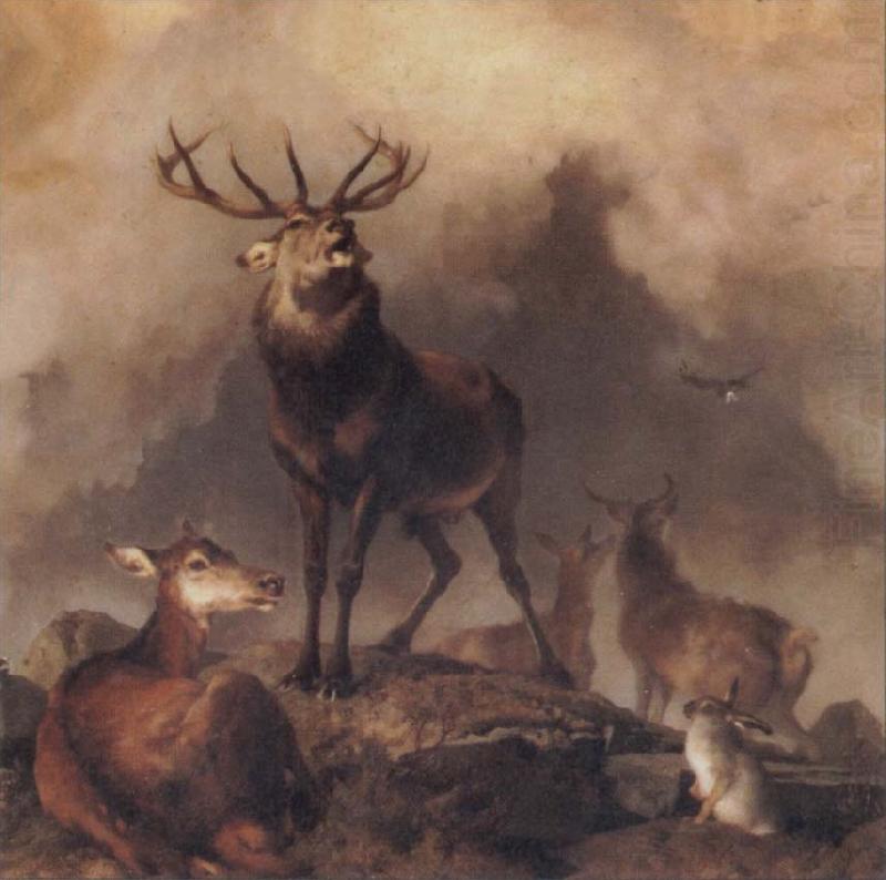 A Majestic Gathering, Sir Edwin Landseer